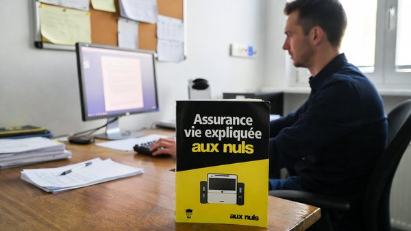 Assurance vie expliquée aux nuls : comprendre les bases simplement